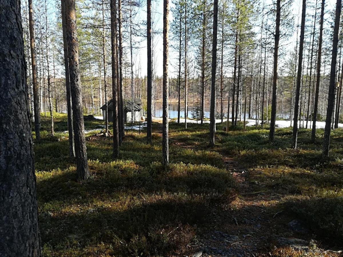 Villa Waestae-Raekki Луосто Экстерьер фото