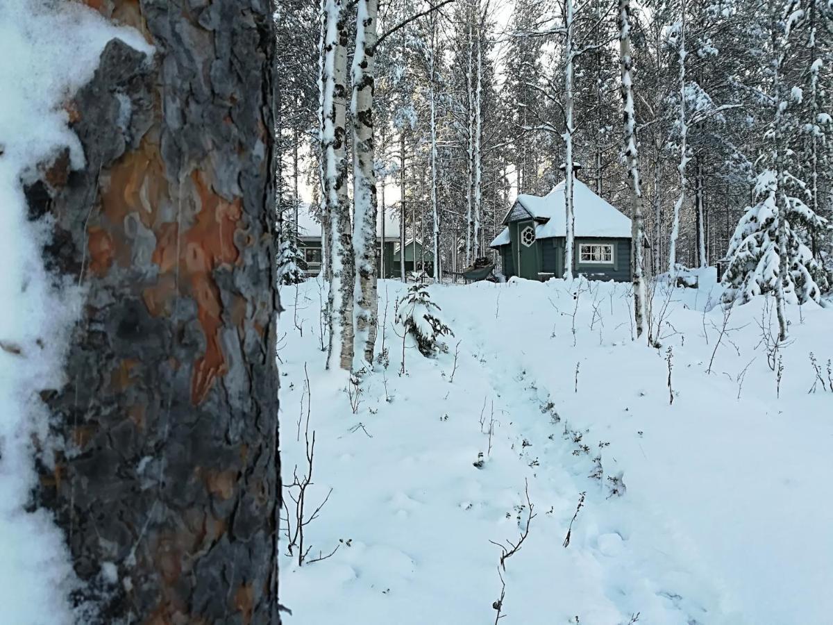 Villa Waestae-Raekki Луосто Экстерьер фото